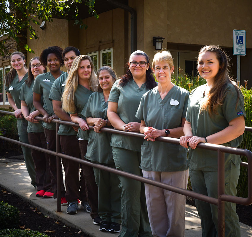 A group of eight people wearing green medical scrubs stand in a line outdoors, smiling at the camera. They are in front of a building with a handicapped parking sign visible. Some have their hands resting on a handrail, showcasing their camaraderie as dedicated veterinarians.