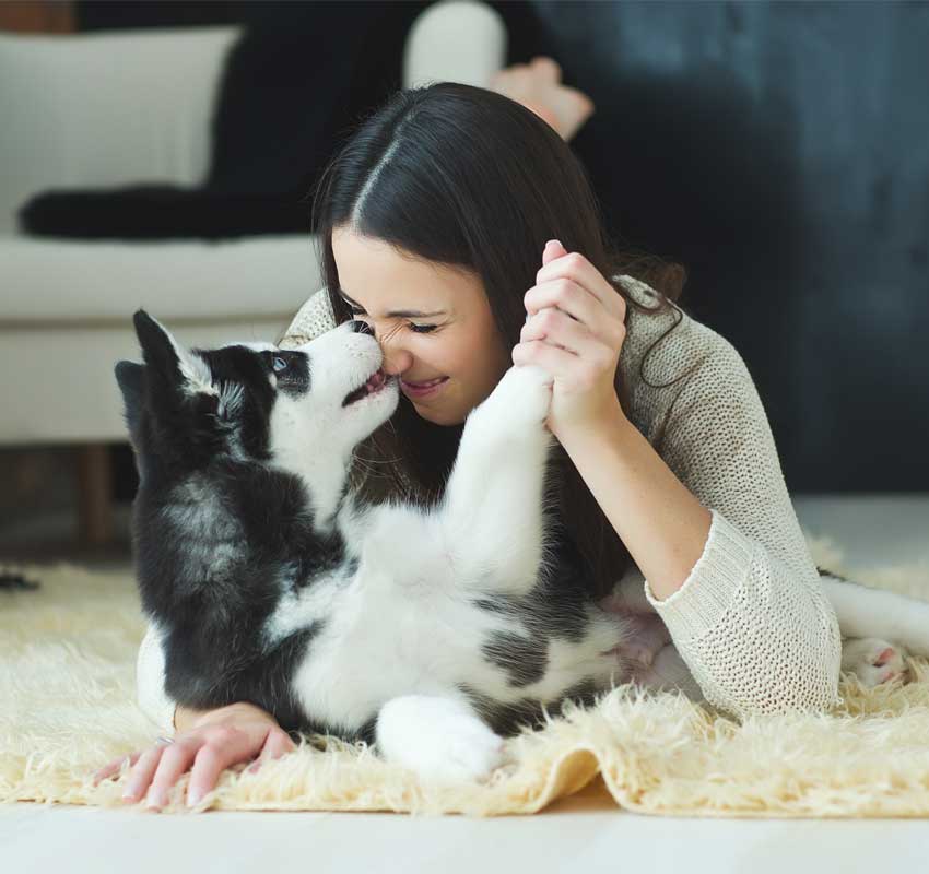 A young woman lies on a rug, playfully interacting nose-to-nose with a black and white husky puppy. She smiles while holding the puppy's paw, showing the tender care of a devoted veterinarian. The background includes a portion of a sofa and a blanket.