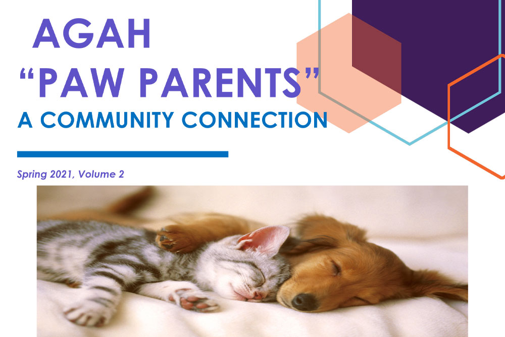 Cover of a publication titled "AGAH 'Paw Parents': A Community Connection, Spring 2021, Volume 2." It features an image of a kitten and a puppy sleeping together, with geometric shapes in purple, orange, and blue at the top right. Insights from a trusted veterinarian enrich this issue.
