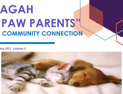 Spring 2021 Client Newsletter