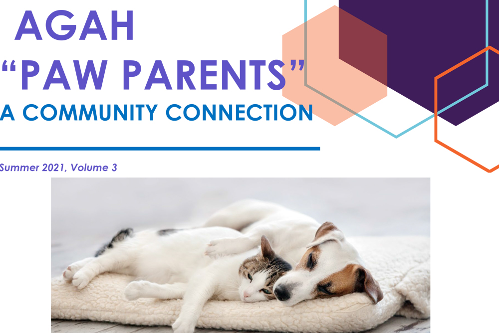 A newsletter titled "AGAH 'Paw Parents': A Community Connection" featuring a photo of a sleeping dog and cat cuddled together on a soft blanket. The Summer 2021, Volume 3 edition includes tips from our veterinarian. Geometric shapes in purple, orange, and peach adorn the top right corner.